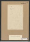 Diatomeae indet. Zeichnungen Sammlung Grunow Nr. 7738 (NHMW-BOT-W0376957)